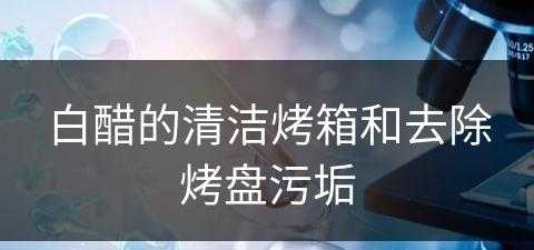 白醋的清洁烤箱和去除烤盘污垢